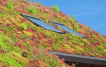 Heaton Chapel living roof systems