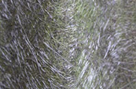 Heaton Chapel fibreglass roof work